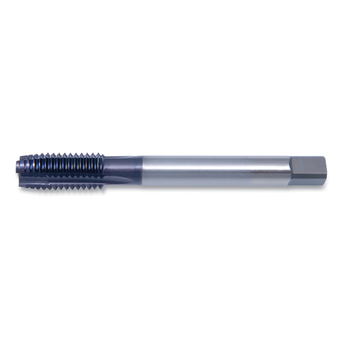 890-C96116.jpg
