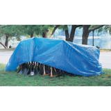 101-1216.jpg