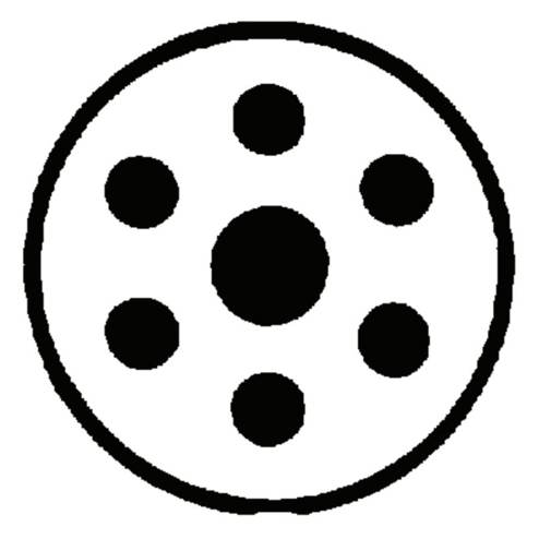 341-0331-0035.jpg