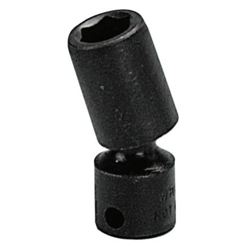 875-3856.jpg