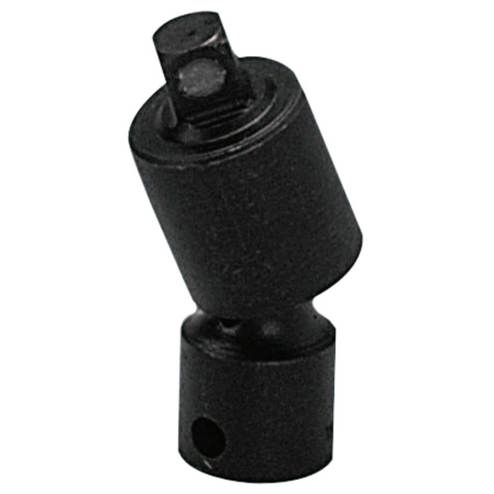 875-3800.jpg