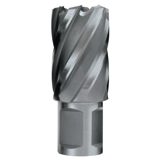 510-CC100L.jpg