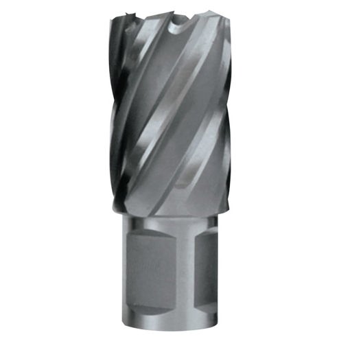 510-CC100L.jpg